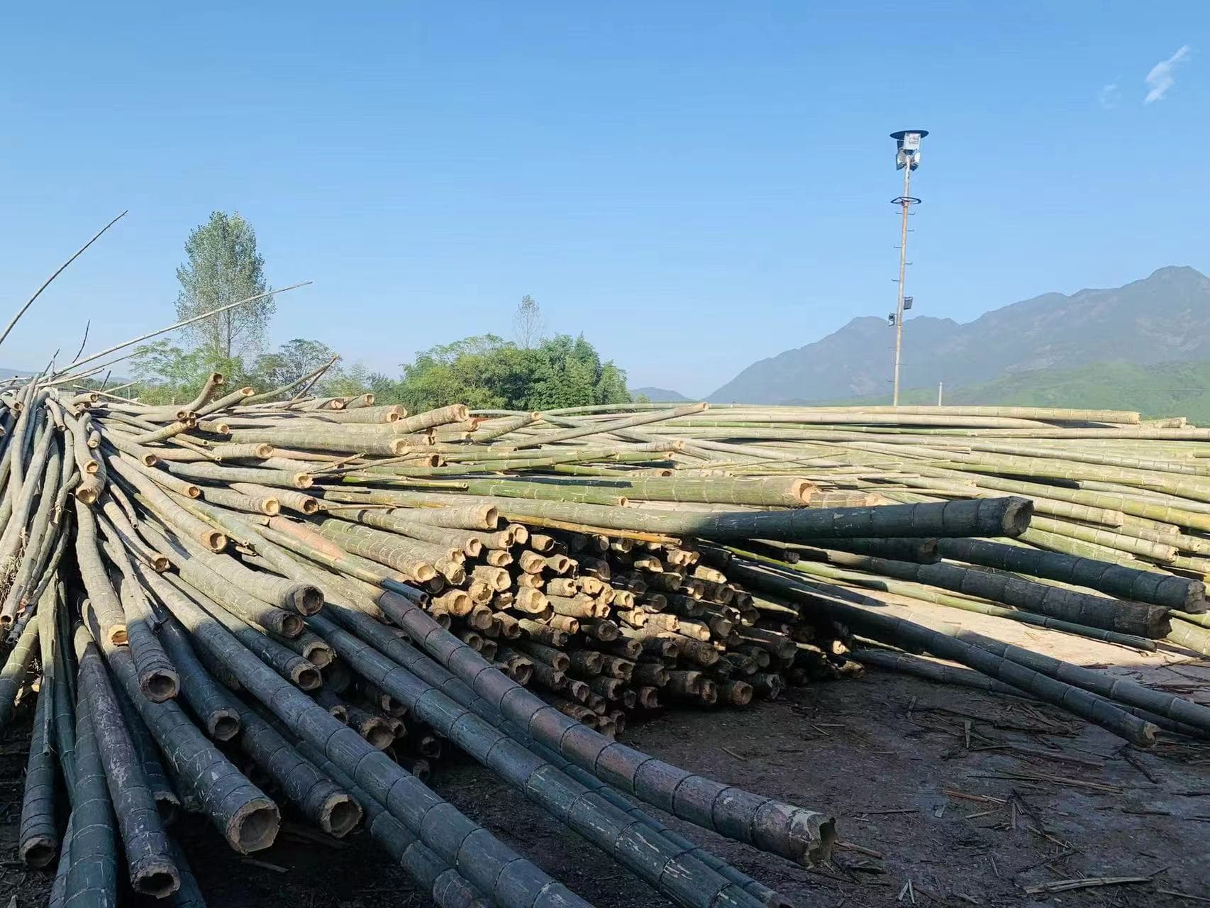 四角形机制木炭 四角形机制木炭